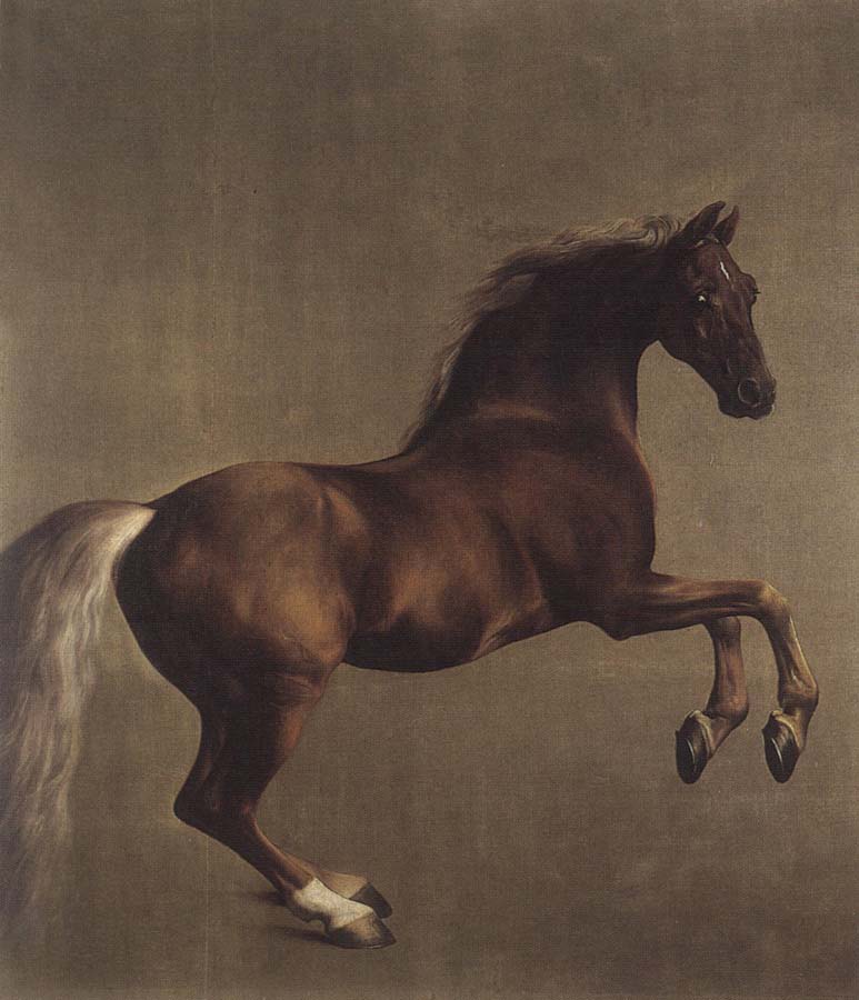 Whistlejacket